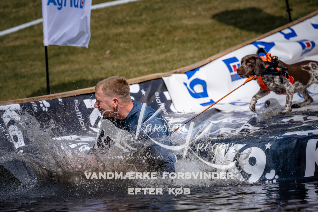 _ZZ907460907 | kk-dogfotos