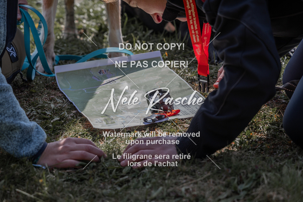 NR__0071 | nelerasche