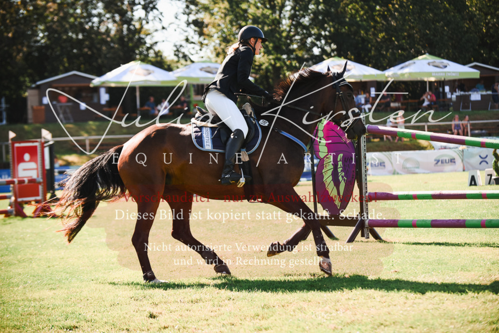 DSC_2404 | Pferde- und Turnierfotografie in Westsachsen. Pferdeportraits, Auftragszeichnungen und intuitive Kunst.