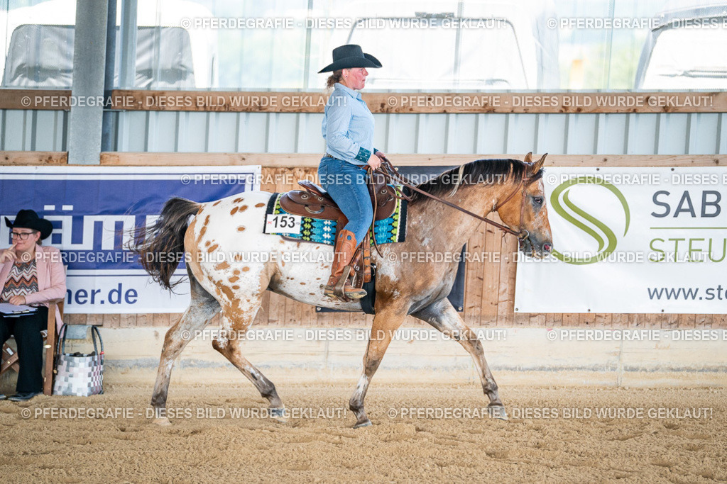 DSC02098 | Pferdegrafie