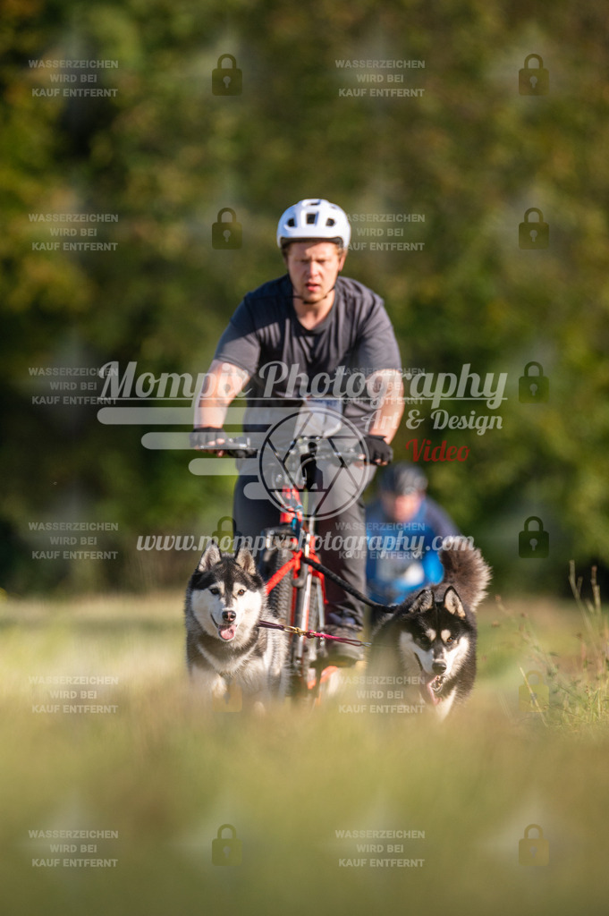 CDLBDB_15_10_2023_Dimanche-358 | mompixphotography