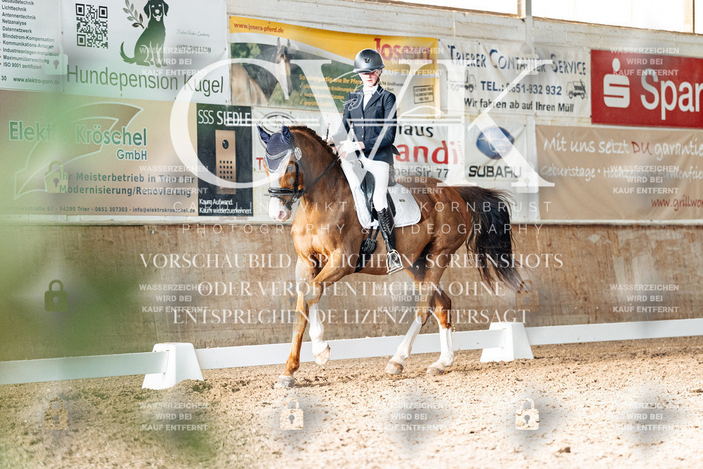 CK903299 | Turnierfotografie Pferdefotografie Trier Rheinland-Pfalz Pferdesport Reitsport Tierfotografie Sportfotografie Pferdevideo Pferdevideografie Equestrianvideography equestrianphotography  - Realisiert mit Pictrs.com