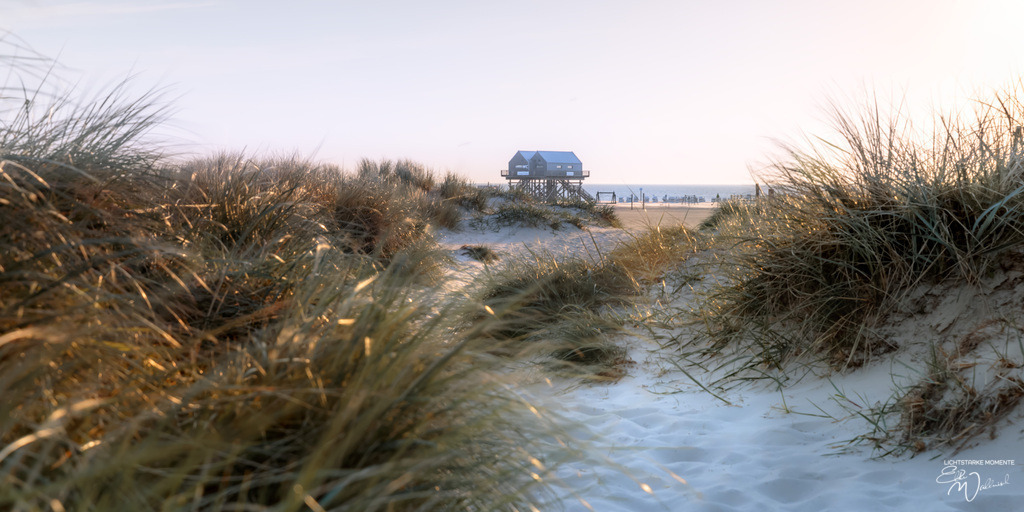 20240501-195449 NORDSEE SPO _196-1 | Herzlich willkommen auf meiner Seite! Ich bin Elke Wallnisch, Deine Fotografin für lichtstarke Momente. Der Name steht für alles, was mich mit der Fotografie verbindet: Das Licht und seine machtvolle Wirkung auf eine Situation oder unsere Stimmung - Realisiert mit Pictrs.com