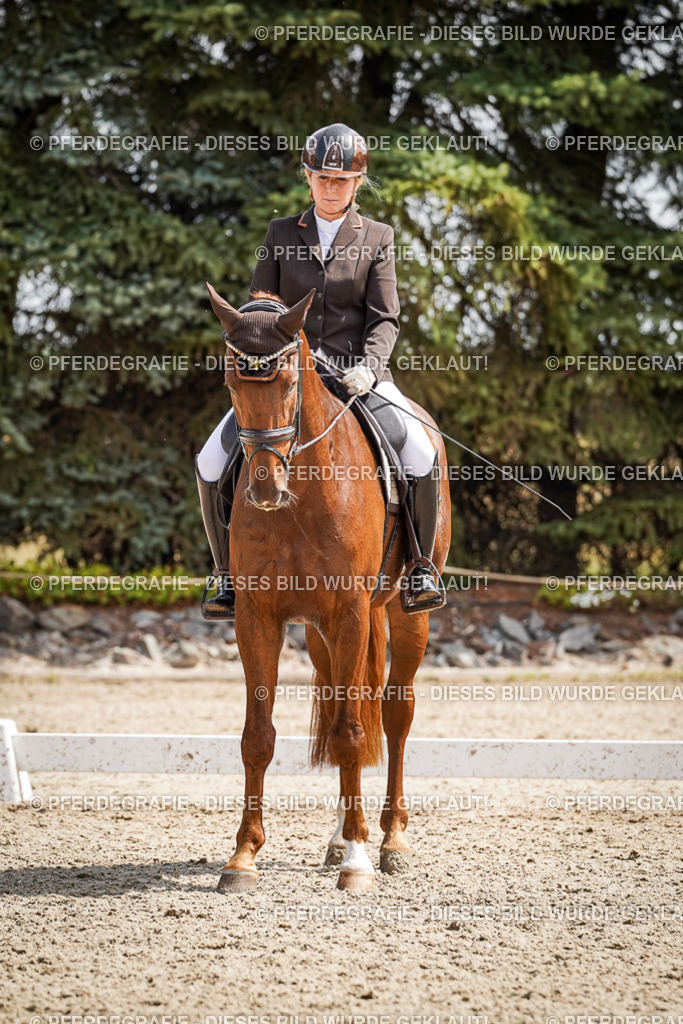 DSC09620 | Pferdegrafie