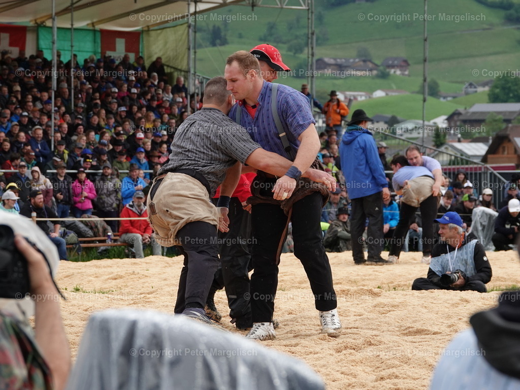 DSC07588 | Schwingen - Realisiert mit Pictrs.com