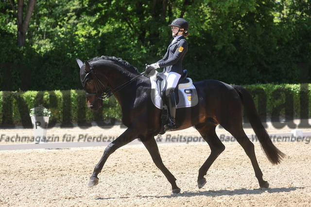 Böblingen_2025_Prfg.Nr.08_Dressurprüfung_Kl.M_Nürnberger Burgpokal_Nova Eden Gelf_Beckham GT (1) | Alle Fotos der Reiterjournal Fotografin Doris Matthaes im Reiterjournal Online-Fotoshop. - Realisiert mit Pictrs.com