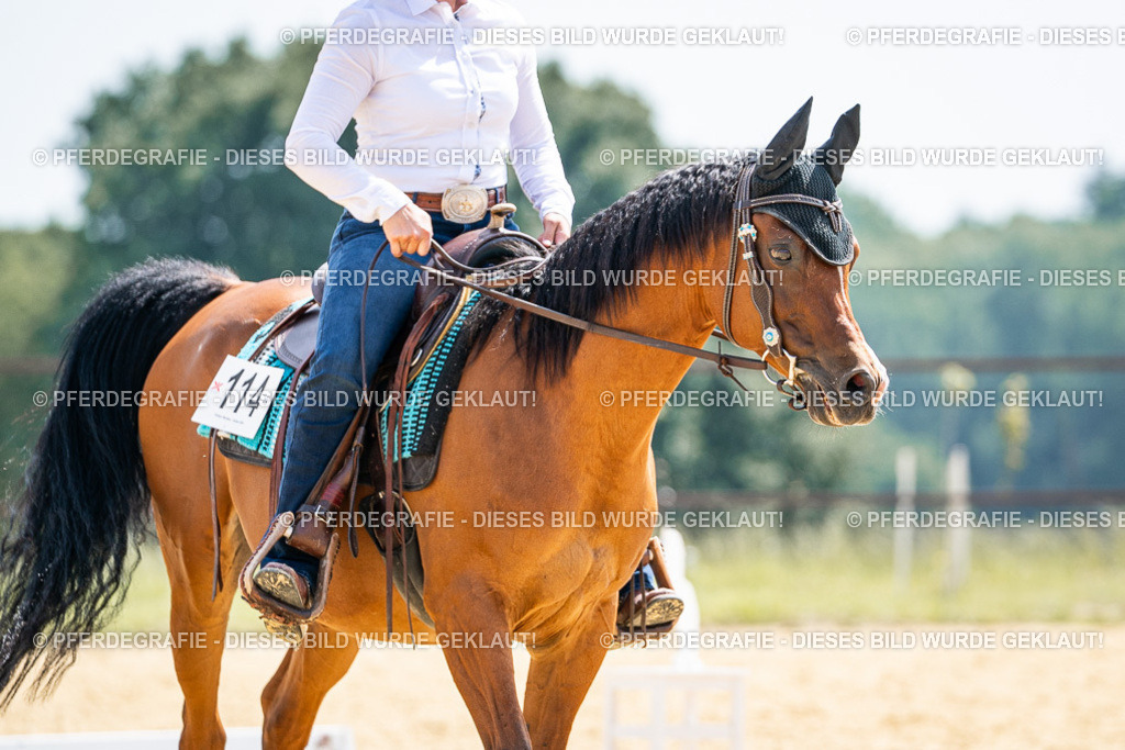 DSC00479 | Pferdegrafie