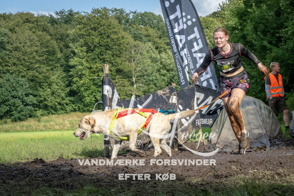 1730_ZZ92424-Bearbeitet | kk-dogfotos