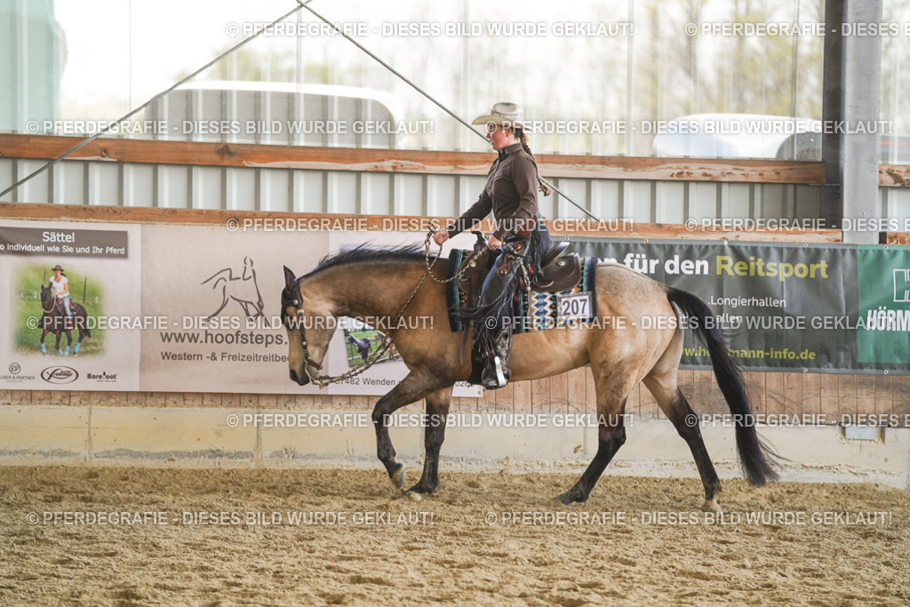 DSC07893 | Pferdegrafie