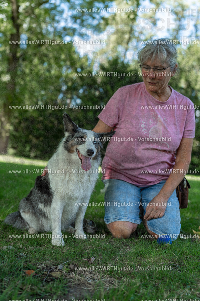 Hundeschwimmen_Volksbad_2026-allesWIRTHgut_Tierfotografie-2609061325-7R500765 | Professionelle Tierfotografie in Mönchengladbach von Daniel Wirth (allesWIRTHgut). Liebevolle & natürliche Bilder von Hunden & Katzen für unvergessliche Erinnerungen.