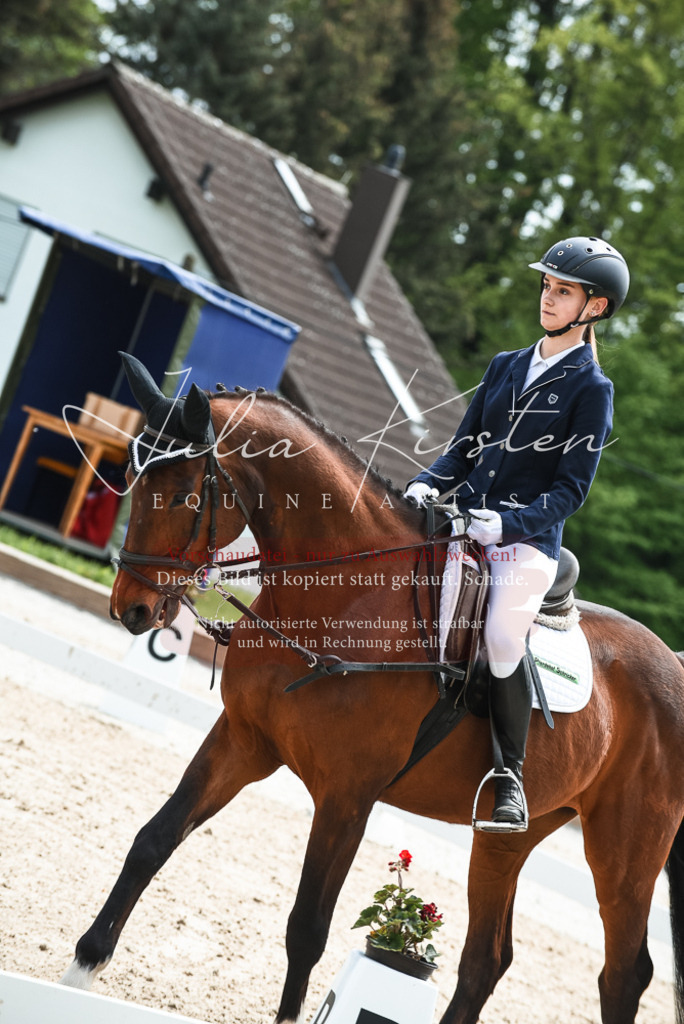 20230518_JK-Röhrsdorf-11-0103 | Pferde- und Turnierfotografie in Westsachsen. Pferdeportraits, Auftragszeichnungen und intuitive Kunst.