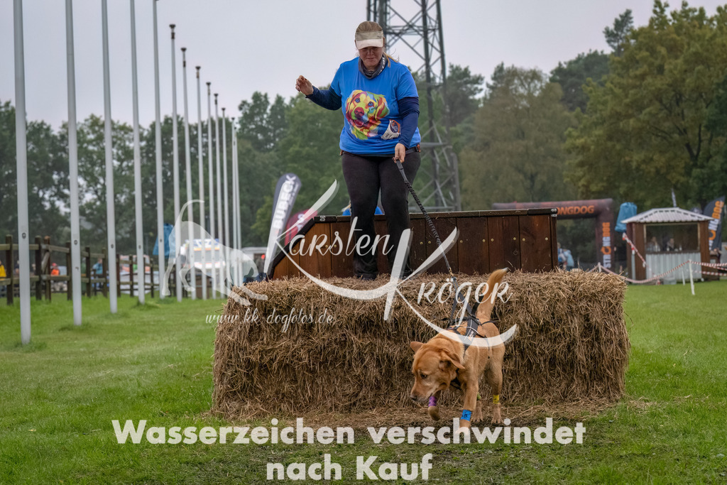 1230--5 | kk-dogfotos