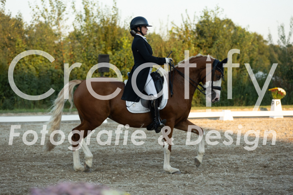 IMG_7593 | Creatify Fotografie