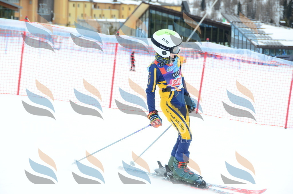 DSC_1956 | holidayphoto