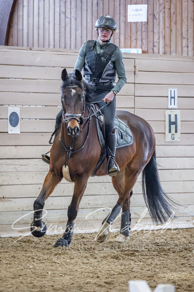 20260221-_3LI9815 | Tierfotografie Pferde, Hunde, Katzen, Haustiere.
Turnierfotografie Reitturniere, Reiten, Springreiten, Dressur in Hanau, dem Main-Kinzig-Kreis und dem Rhein-Main- Gebiet um Frankfurt