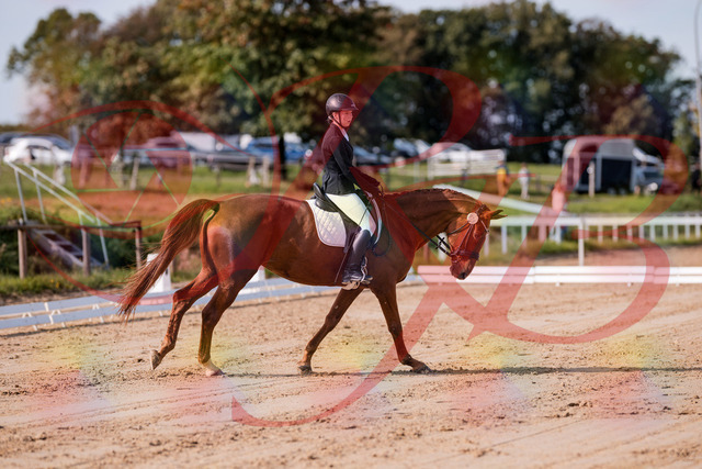 2026_10_03_Siefer-Hof_114422_Z81_87020844 | Professionelle Reitsport-, Turnier- und Eventfotografie von Robert Broda. Galerien mit ausgewählten und bearbeiteten Bildern direkt online ansehen und bestellen.