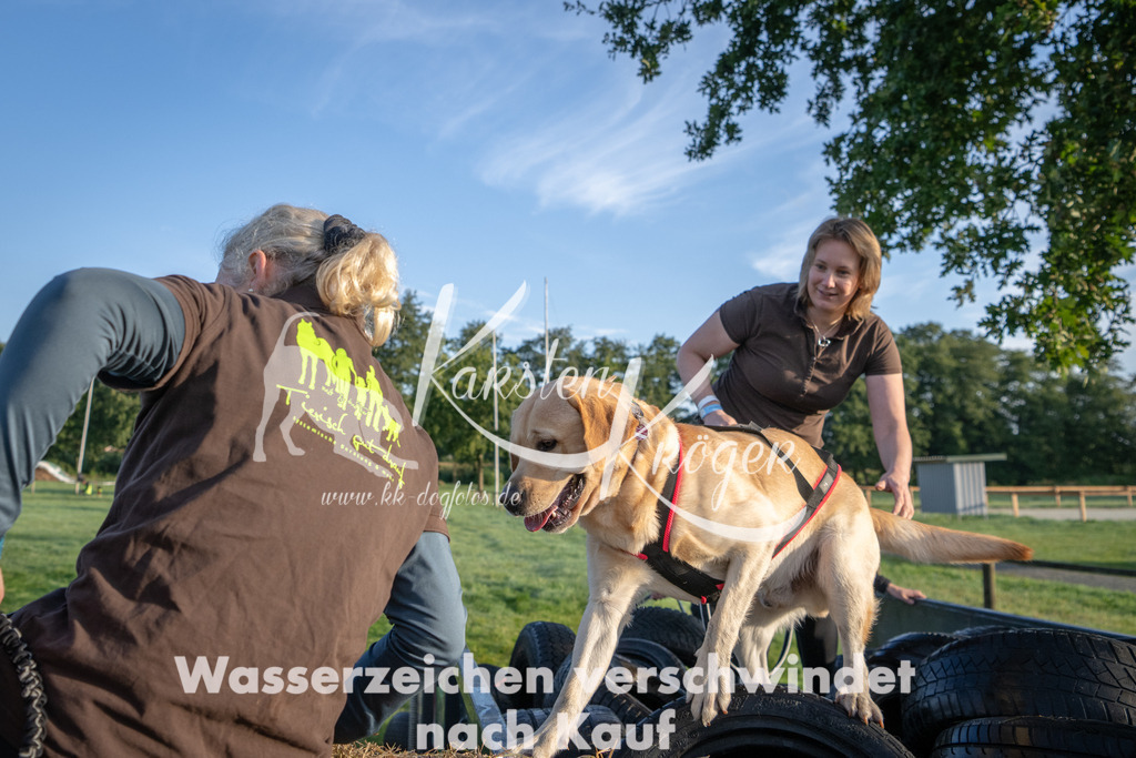 0817_ZZ90847 | kk-dogfotos
