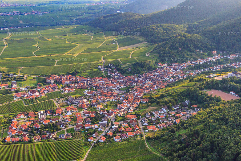 Luftbild: Winzerort am Haardtrand von Nordosten im Ortsteil SaintMartin in Sankt Martin im Bundesland Rheinland-Pfalz in Deutschland. Foto: IMG_33068.jpg vom 04.09.2010 durch Werner Riehm/FLY-FOTO.de