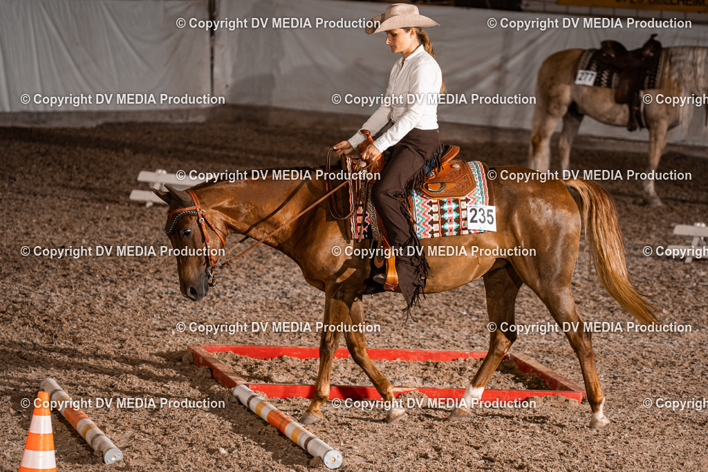 ZH200554 | dv-media-shop - Realisiert mit Pictrs.com