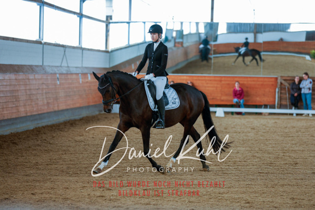 _62_5273 | Turniersportfotografie; Pferdefotografie; Dressurfotografie