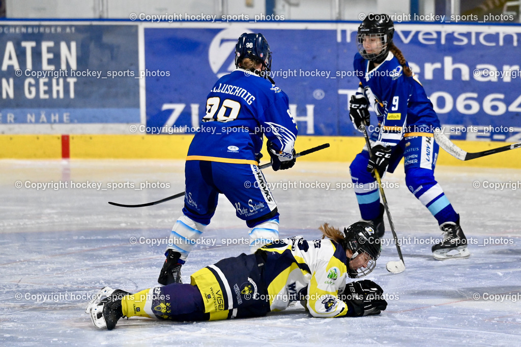 LADY HAWKS vs. WILDCATS PATERNION | #89l##23 Stuppnig Iris WILDCATS PATERNION, #9 Pesendorfer Zoe LADY HAWKS, LADY HAWKS vs. WILDCATS PATERNION, LADY HAWKS vs. WILDCATS PATERNION am 12.03.2025 in Steindorf (Ossiachersee Halle), Austria, (Photo by Bernd Stefan)