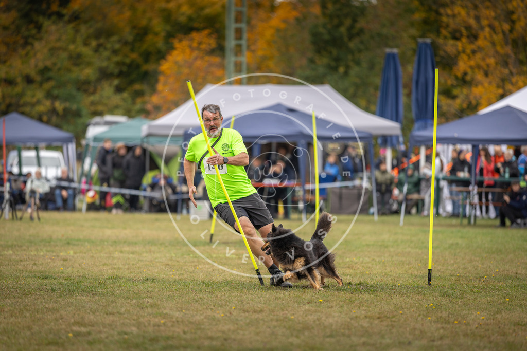 Pfotenfotografie_DV3A6363 | Hundefotografie, Tierfotograf, Pfotenfotografie, Fotoshooting Hund, Hunde Portrait, Hundesport, Hundeportraits, Heideshooting, Hunde, Sportfotograf, Hundefotograf, Turnierhundsport, THS,  - Realisiert mit Pictrs.com