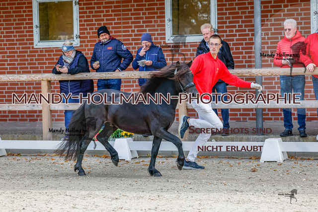 GK (8 von 759) | mandyhollmannphotographie