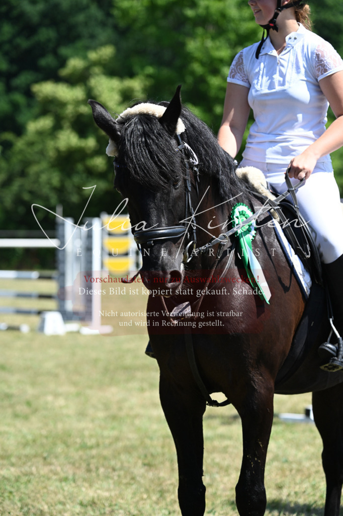 DSC_0893 | Pferde- und Turnierfotografie in Westsachsen. Pferdeportraits, Auftragszeichnungen und intuitive Kunst.