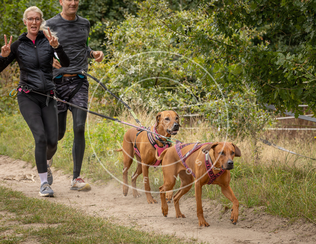 Pfotenfotografie_DV3A7586 | Hundefotografie, Tierfotograf, Pfotenfotografie, Fotoshooting Hund, Hunde Portrait, Hundesport, Hundeportraits, Heideshooting, Hunde, Sportfotograf, Hundefotograf, Turnierhundsport, THS,  - Realisiert mit Pictrs.com