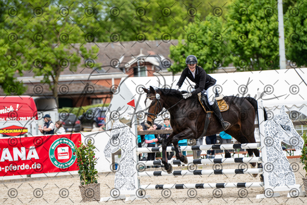 KPT_5531 | andre_photographic