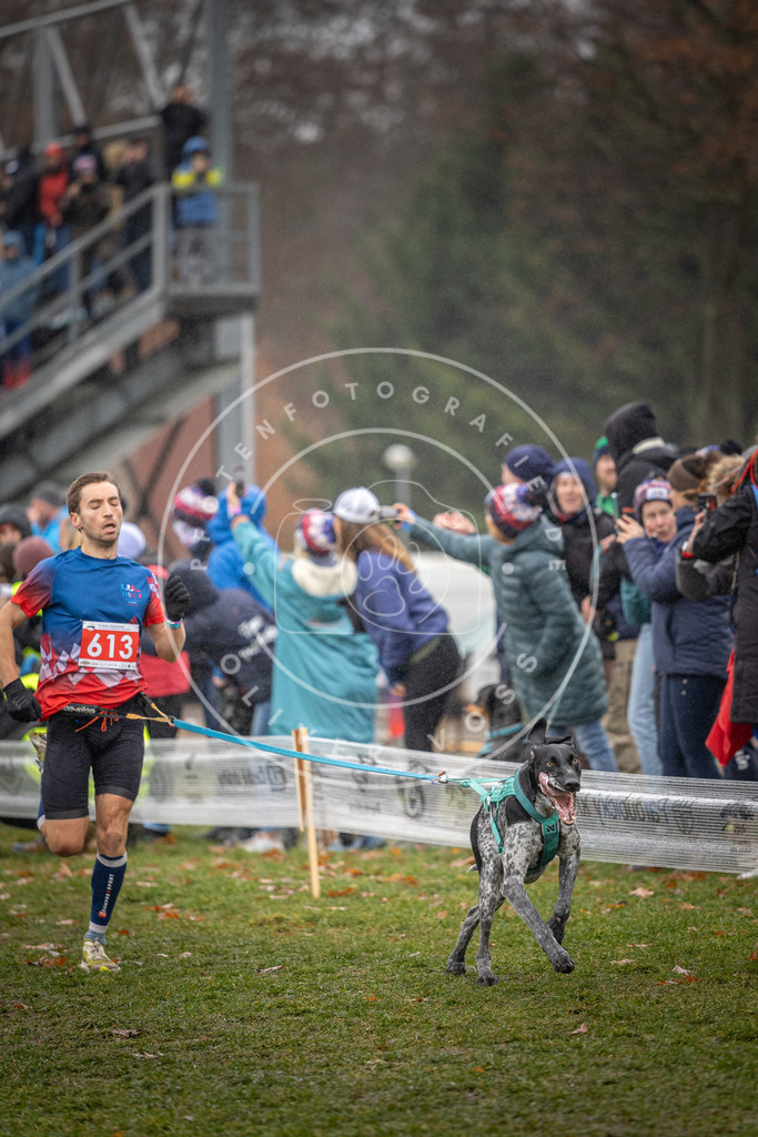 CaniXpix_DV3A9585 | Hundefotografie, Tierfotograf, Pfotenfotografie, Fotoshooting Hund, Hunde Portrait, Hundesport, Hundeportraits, Heideshooting, Hunde, Sportfotograf, Hundefotograf, Turnierhundsport, THS,  - Realisiert mit Pictrs.com