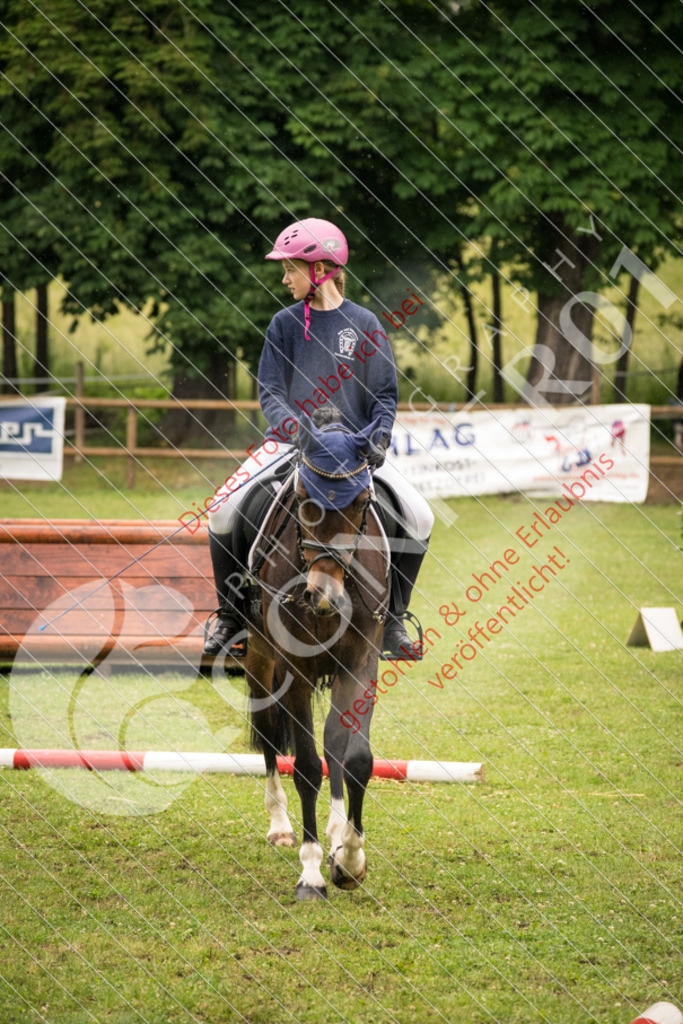 DSC_4740 | Sport-, Event- und Tierfotos in Profiqualität. Einfach auswählen, bestellen und herunterladen. Dein Moment – perfekt festgehalten.