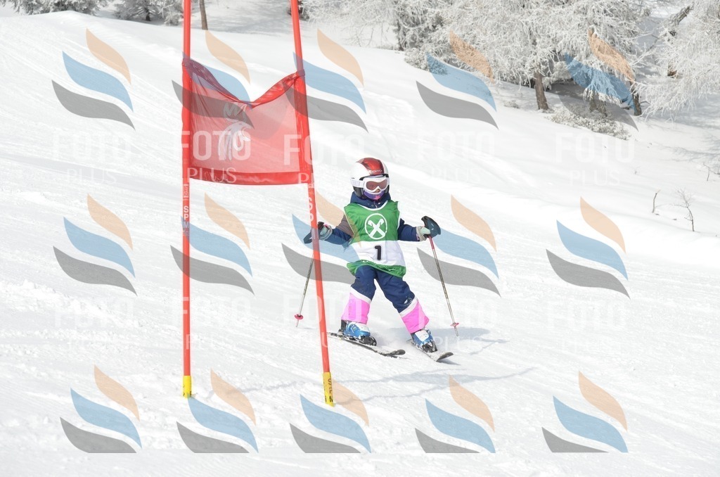 D8450 | holidayphoto