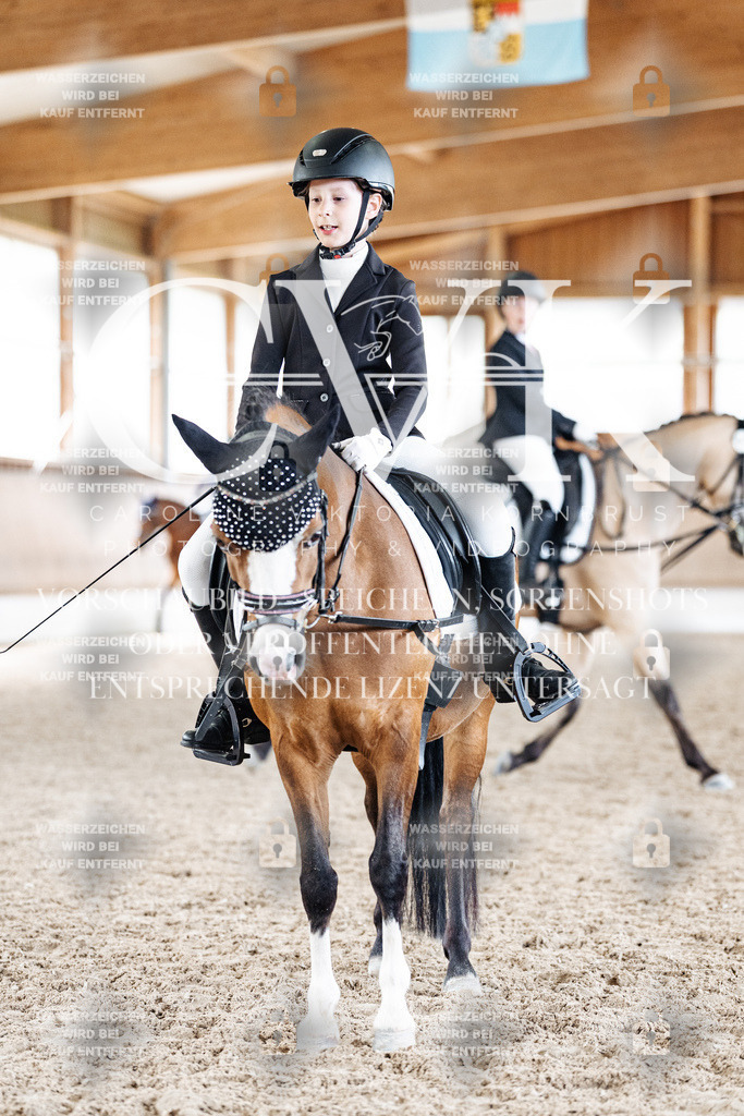 CK901477 | Turnierfotografie Pferdefotografie Trier Rheinland-Pfalz Pferdesport Reitsport Tierfotografie Sportfotografie Pferdevideo Pferdevideografie Equestrianvideography equestrianphotography  - Realisiert mit Pictrs.com