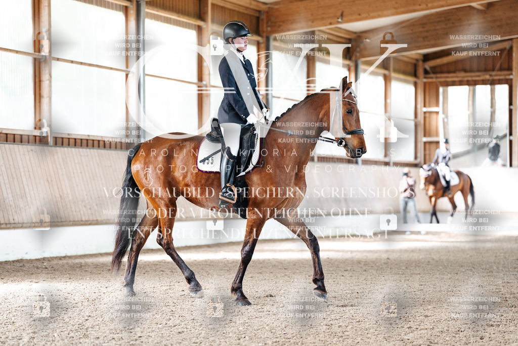 CK909567 | Turnierfotografie Pferdefotografie Trier Rheinland-Pfalz Pferdesport Reitsport Tierfotografie Sportfotografie Pferdevideo Pferdevideografie Equestrianvideography equestrianphotography  - Realisiert mit Pictrs.com