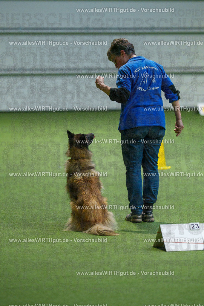 7R507914 | Professionelle Tierfotografie in Mönchengladbach von Daniel Wirth (allesWIRTHgut). Liebevolle & natürliche Bilder von Hunden & Katzen für unvergessliche Erinnerungen.