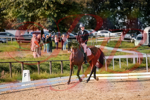 2026_10_03_Siefer-Hof_122707_Z63_48057061 | Professionelle Reitsport-, Turnier- und Eventfotografie von Robert Broda. Galerien mit ausgewählten und bearbeiteten Bildern direkt online ansehen und bestellen.