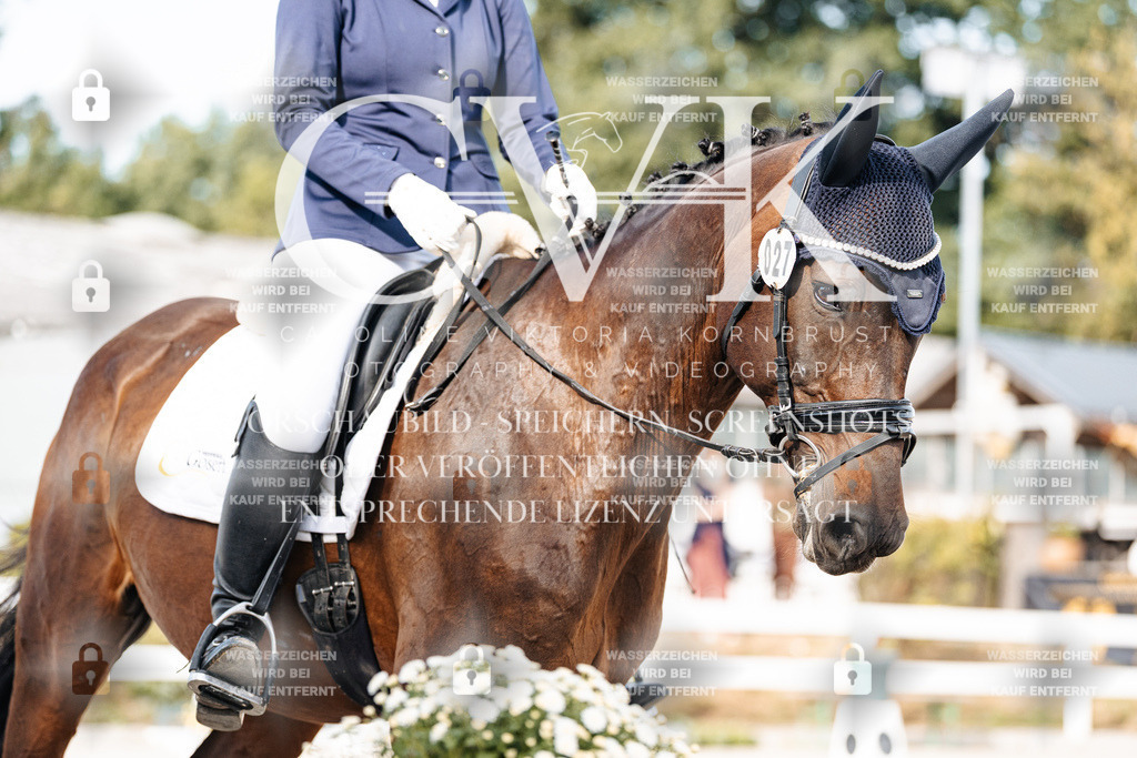 CK905064 | Turnierfotografie Pferdefotografie Trier Rheinland-Pfalz Pferdesport Reitsport Tierfotografie Sportfotografie Pferdevideo Pferdevideografie Equestrianvideography equestrianphotography  - Realisiert mit Pictrs.com