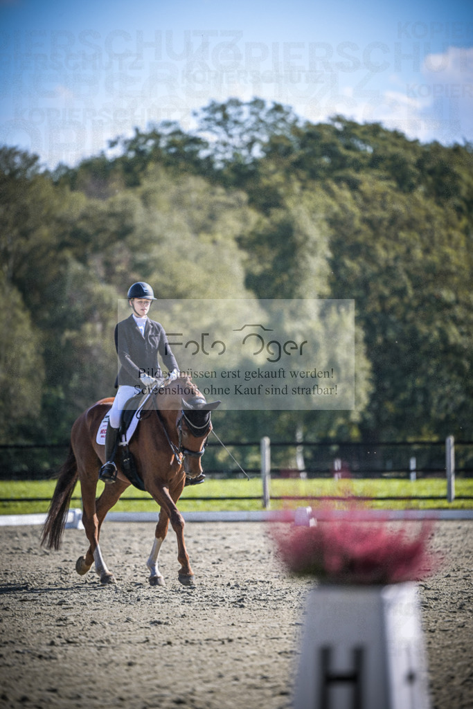 DOS_3234 | Entdecke hochwertige Reitturnierfotos von Foto Oger. Professionell, emotional und authentisch – jetzt Lieblingsmomente im Shop bestellen.Deutschlandweite Turnierfotografie. - Realisiert mit Pictrs.com