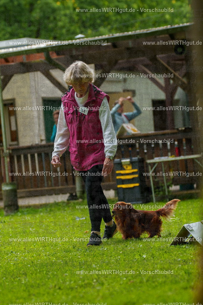 @allesWIRTHgut_Tierfotografie - www.allesWIRTHgut.de - 091008-7R506651 | Professionelle Tierfotografie in Mönchengladbach von Daniel Wirth (allesWIRTHgut). Liebevolle & natürliche Bilder von Hunden & Katzen für unvergessliche Erinnerungen.