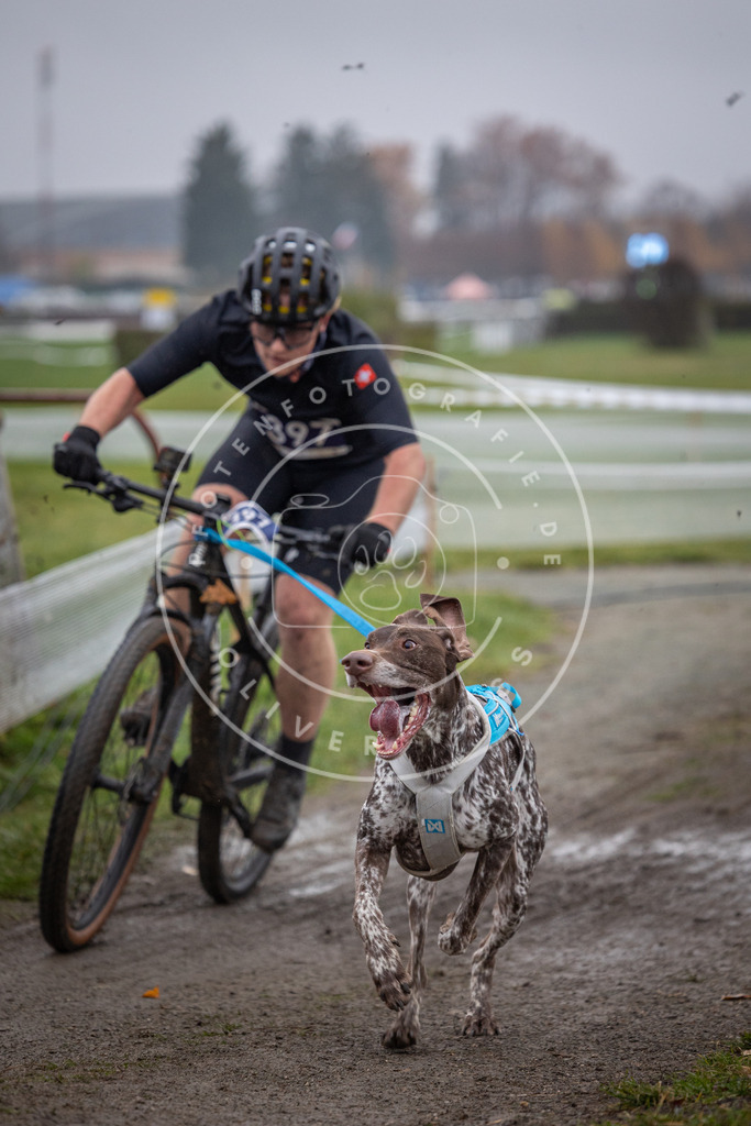 CaniXpix_0L8A1270 | Hundefotografie, Tierfotograf, Pfotenfotografie, Fotoshooting Hund, Hunde Portrait, Hundesport, Hundeportraits, Heideshooting, Hunde, Sportfotograf, Hundefotograf, Turnierhundsport, THS,  - Realisiert mit Pictrs.com