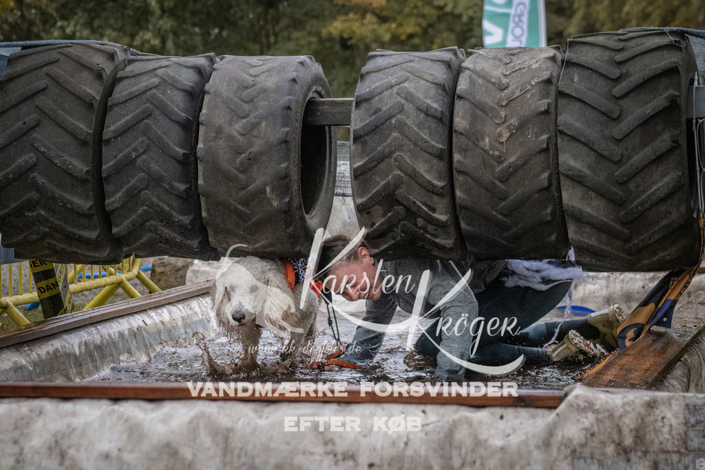 1642_ZZ93935 | kk-dogfotos