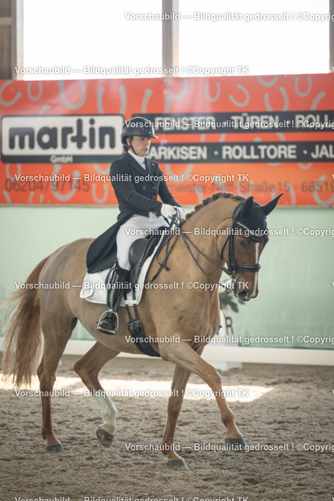 _D5A1342 | Emotionale Pferde- & People-Fotografie rund um Heidelberg, Leimen & Umgebung. Natürliche Fotos von Pferd, Mensch & Familie. Jetzt Termin sichern!