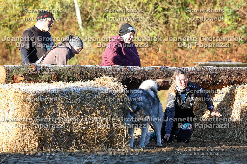 Dog Paparazzi - Strongdog 10-25-749 | Dog Paparazzi Jeanette Grottendiek Fotografie & Videografie - Realisiert mit Pictrs.com