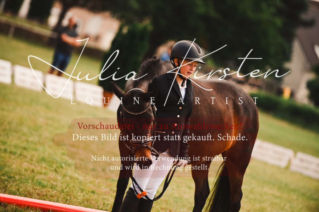 DSC_5861 | Pferde- und Turnierfotografie in Westsachsen. Pferdeportraits, Auftragszeichnungen und intuitive Kunst.