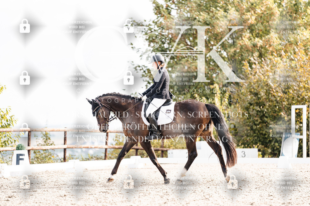 CK901257 | Turnierfotografie Pferdefotografie Trier Rheinland-Pfalz Pferdesport Reitsport Tierfotografie Sportfotografie Pferdevideo Pferdevideografie Equestrianvideography equestrianphotography  - Realisiert mit Pictrs.com