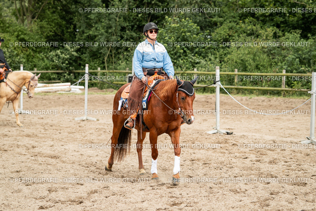 DSC03338 | Pferdegrafie