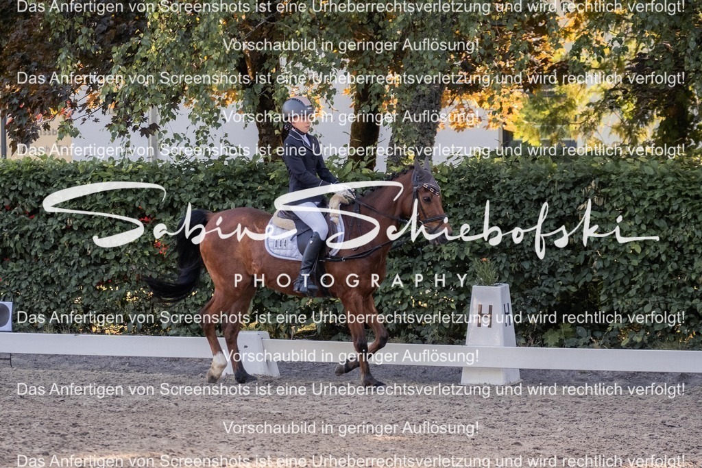 2025_05_31_DSCF2720 | People- und Tierfotografie, Imageaufnahmen, Veranstaltungsfotografie und Wandbilder aus der Natur ★ Made in Germany ✔️ Druck + Downloads ✔️ Naturfotografie in Top Qualität ★ schneller Versand, weltweite Lieferung! - Realisiert mit Pictrs.com