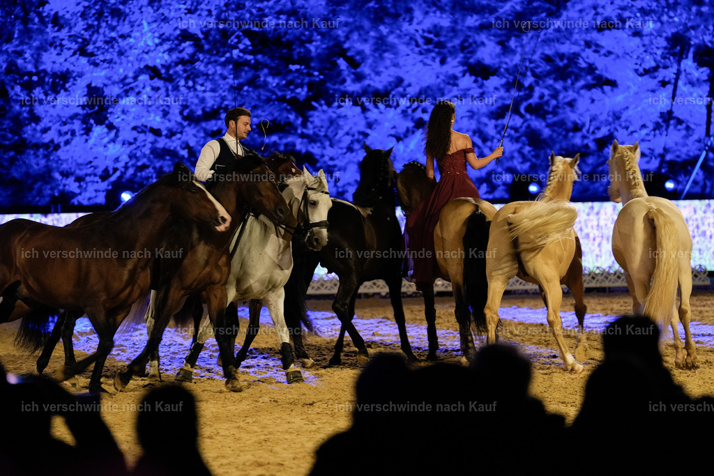 FHClassics-340 | working equitationturnier fotograf videograf stoibphotography marixx film working equitation deutschland reitsport turnierfotografie eventfotografie equestrian events