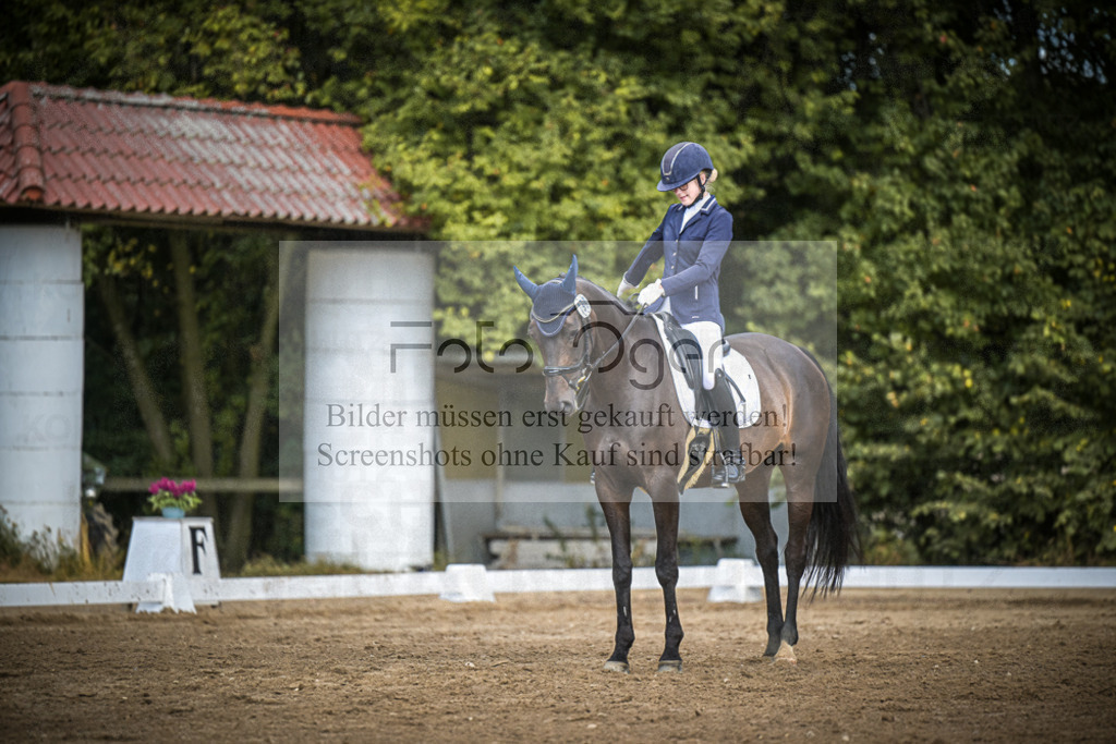 DOS_4463 | Entdecke hochwertige Reitturnierfotos von Foto Oger. Professionell, emotional und authentisch – jetzt Lieblingsmomente im Shop bestellen.Deutschlandweite Turnierfotografie. - Realisiert mit Pictrs.com